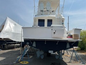 1995 Bertram Yachts 43