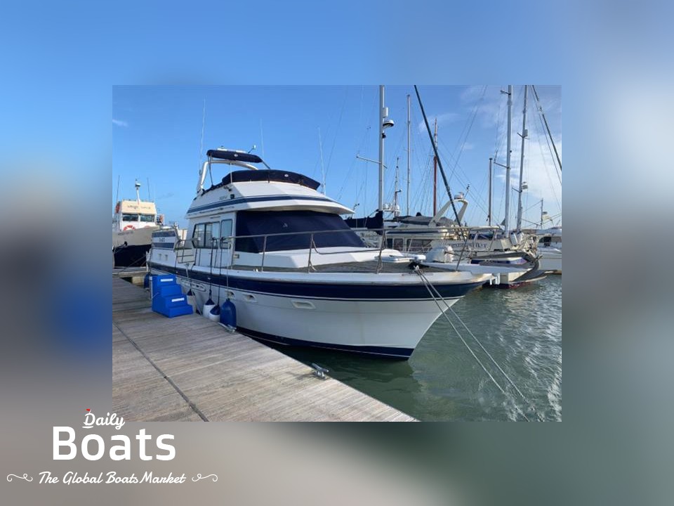 Motor boats Trader Yachts for sale Daily Boats