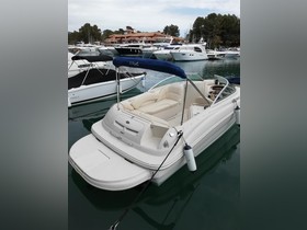 Buy 2001 Sea Ray Boats 240 Sundeck
