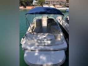 2001 Sea Ray Boats 240 Sundeck kopen