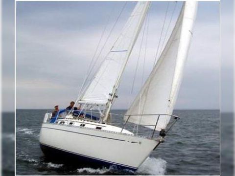 Cal 35