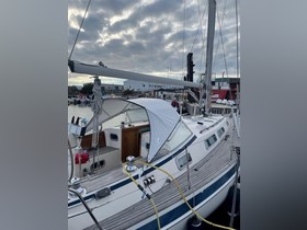 1995 Hallberg Rassy 34 kopen