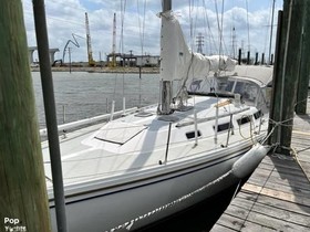 Buy 1987 Catalina Yachts 36