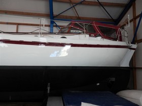 1984 Colin Archer Yachts 11.50 kaufen