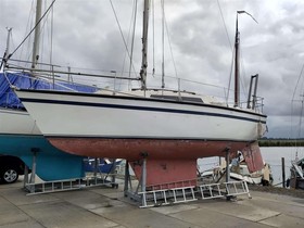 Cobra Yachts 850