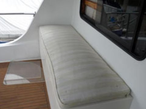 Kupiti 2003 Custom Buzzcat 42