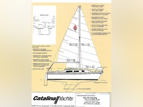 1982 Catalina Yachts 25 til salgs
