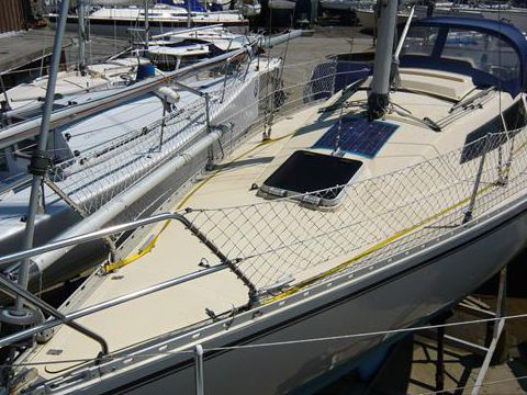 Buy 1986 Trapper 31