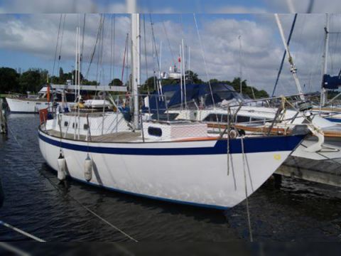 Saltram Saga 36
