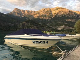 1988 Sea Ray 160 for sale
