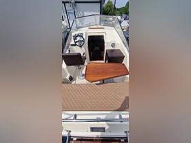 Buy 1900 Fairline 23 Holiday