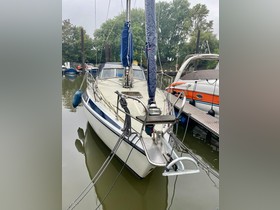 Comprar 1978 Maxi 95