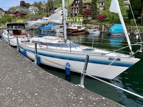 1987 Tabasco Marin Inferno 29 for sale