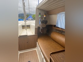 Kjøpe 1977 Dehler Varianta 65