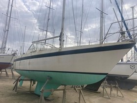 Buy 1977 Targa 96