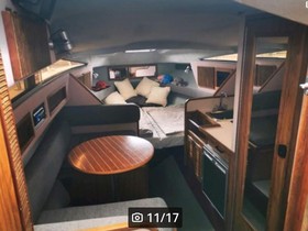 1988 Sea Ray 268 Sundancer zu verkaufen