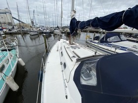 1991 Dromor Apollo 12 for sale