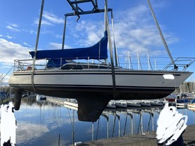 1988 Olsen 31