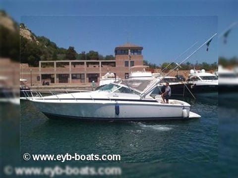 Bertram 36 Moppie