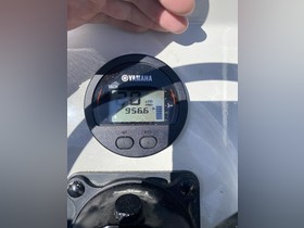 Buy 1988 Unknown Kestrel