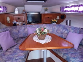 Marex Sun Cruiser