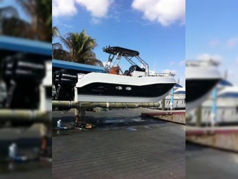 Hydrofoil Power Catamaran