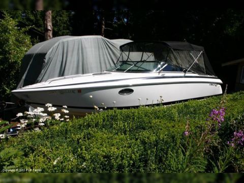 Buy Cobalt 263 Cuddy Cabin Cobalt 263 Cuddy Cabin For Sale