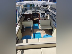 Buy 1974 Windy 24 Dc