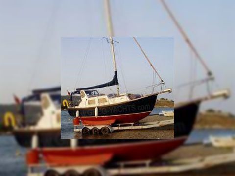 Husky 24