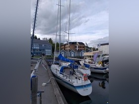 Buy 1989 Luffe 37