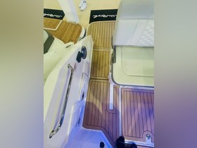 2023 Sea Ray 250 Sdo Sundeck 300 Ps 2023 Sofort Voll for sale