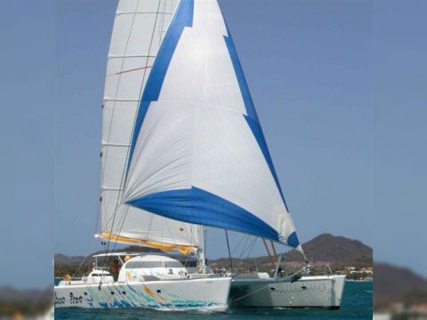 Pinta Maxi Cat