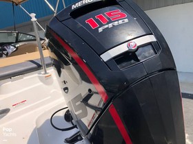 Köpa 2021 Sea Ray 190 Spx