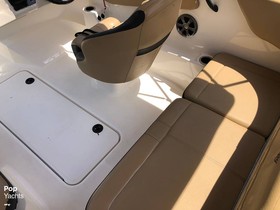 2021 Sea Ray 190 Spx for sale