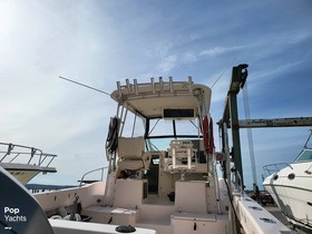 1999 Grady-White 272 Sailfish for sale