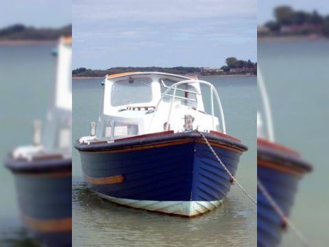 1965 Nelson 23 kopen