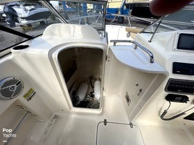 Buy 2017 Scout Boats Dorado 225