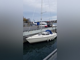 Купити 2022 Maxi Yachts Magic