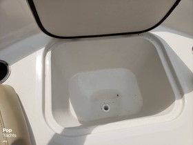 Buy 2019 Stingray 182 Sc