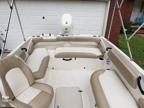 2019 Stingray 182 Sc for sale