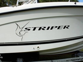 Buy 2001 Striper / Seaswirl 220