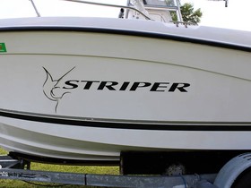 2001 Striper / Seaswirl 220