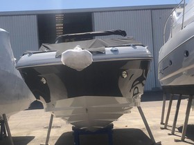 2023 Sea Ray 250 Sdx na sprzedaż