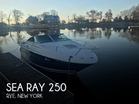 Sea Ray 250 Amberjack