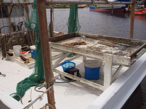 Buy 2001 Juniper Hull 50