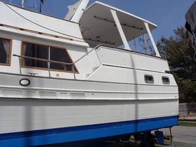 1986 Albin 43 Sundeck zu verkaufen