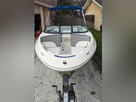 2013 Sea Ray 190 Sport for sale