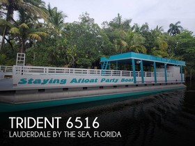 Trident Aluminium Boats 6516