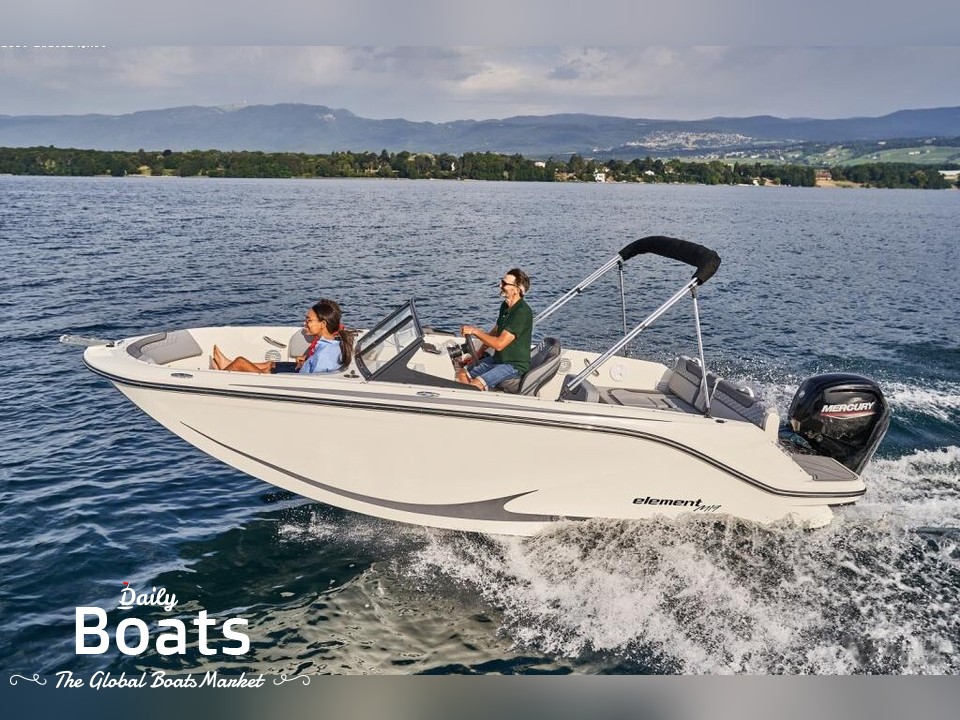 2023 Bayliner Element M19
