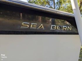 2013 Sea Born 23Nx en venta